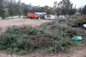 Φορτία με κλαδιά και άλλα υλικά βρίσκονται παρατημένα για μέρες (φωτογραφία Κυριακής 1 Φεβρουαρίου)