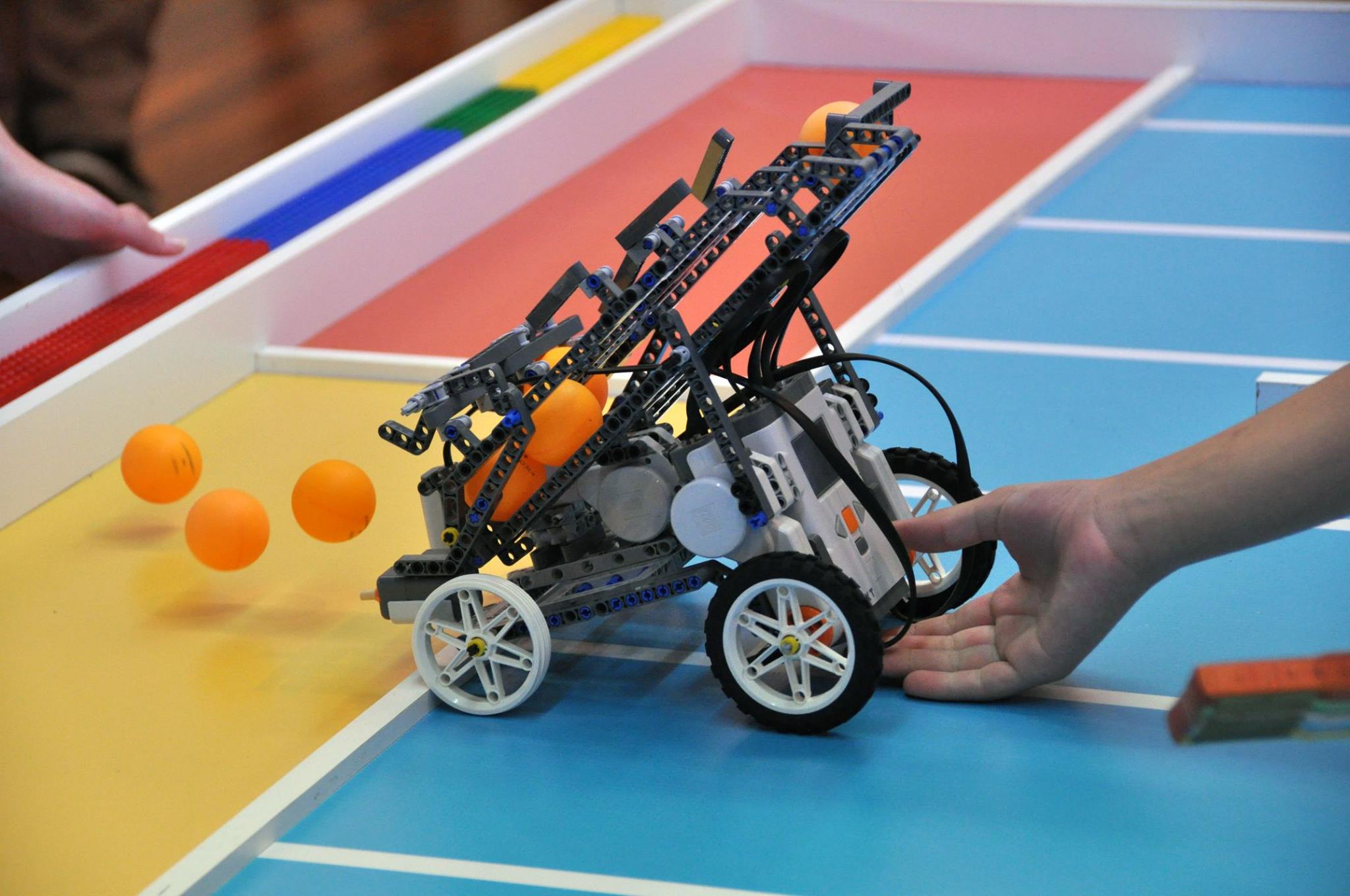 12091366_422414727883271_8067794026160104341_o