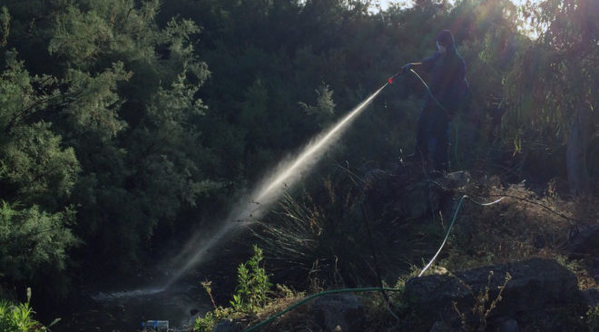 Ψεκάζει κατά κουνουπιών η Περιφέρεια Αττικής στα 3Β