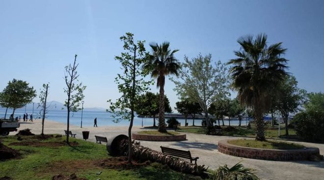 Φυτεύσεις δέντρων αλλάζουν την όψη της παραλίας Βάρκιζας