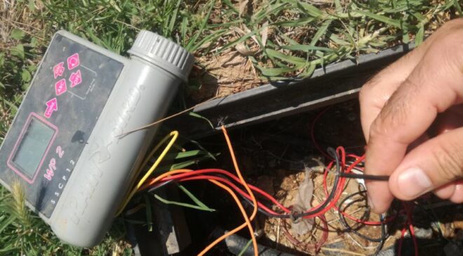 Ποιος σαμποτάρει το πράσινο και τα νέα δέντρα στη Βάρκιζα;